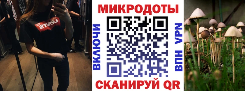 Галлюциногенные грибы ЛСД купить наркотики сайты Новоржев